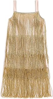 Qiylii Kid Girls Sequin Fringe Tassel Dance Dress