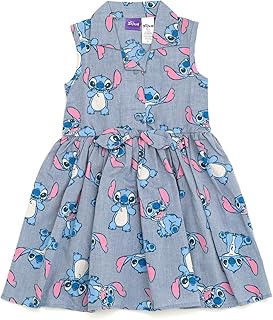 Disney Chambray Skater Dress